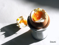 Bild zu: Lacto Vegetarier, gekochtes Ei